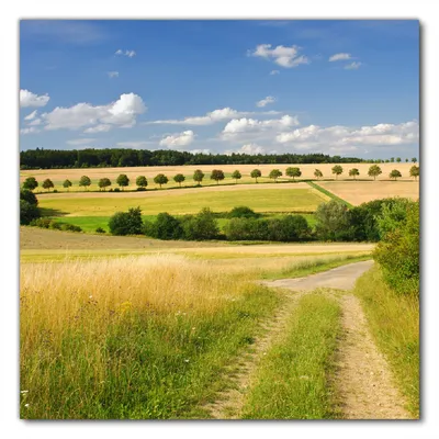 Produktbild von Wallario selbstklebende Möbelfolie/ Tischdecke für Innen und Außen, Größe: 50 x 50 cm - Feldlandschaft unter blauem Himmel