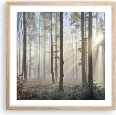 Produktbild von Gerahmtes Poster - Rahmen in heller Eiche - Wald Baum Natur - 50x50 cm - Wand Bild - Wanddeko - Wandbilder - Kunstposter - Wandposter - Bilderrahmen - Bilder - Kunstdruck - Wandbild - P2NAC50x50-3749