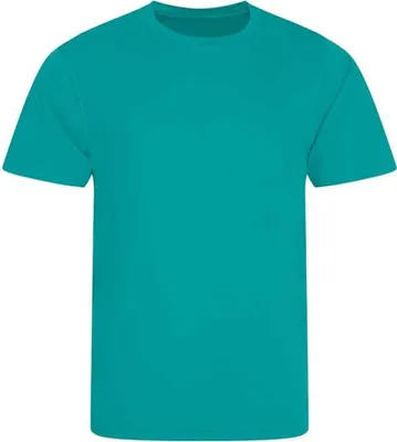 Image de AWDis Just Cool T-shirt à manches courtes lisse pour hommes RW5357 (XS) (Turquoise)