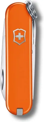 Immagine prodotto di Coltello multiuso in acciaio inossidabile per il campeggio