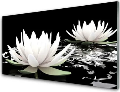 Produktbild von Acrylglasbilder 100x50 Wandbild Druck Blumen Pflanzen