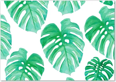 Produktbild von Tulup® Glas-Bild - 100 x 70 - Wandbild aus Glas - Wandkunst - Wandbild hinter gehärtetem Sicherheitsglas - Blumen & Pflanzen - Monstera - Grün