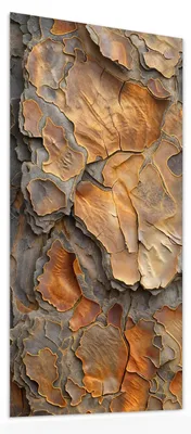 Produktbild von Glasbild 55x110cm in XXL für Wohnzimmer, Schlafzimmer Motiv Rinde Struktur Formen