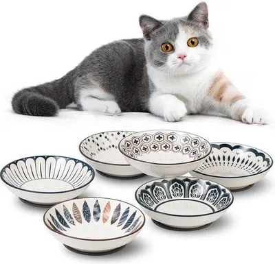 Produktbild von Famanu Katzenschüssel aus Edelstahl - Erhöht, kippbar