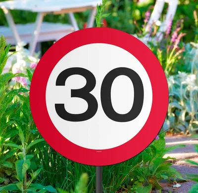 Produktbild von Verkehrsschild 30 Beetstecker 40cm