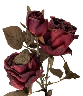 Produktbild von Clayre & Eef Kunstblume Rose 70 cm Rot Kunststoff