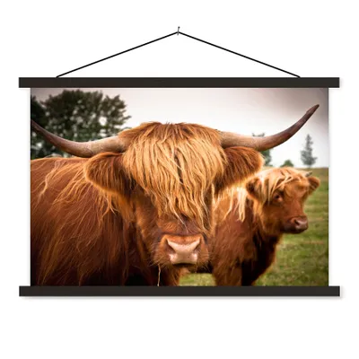 Produktbild von MuchoWow® Textilposter Schottische Highlander - Braun - Gras 60x40 cm mit schwarzem Rahmen - Hölzernes