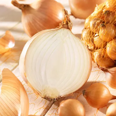 Artikelbild 2 von 'Steckzwiebel Stuttgarter Riesen (250 g)' aus der Kategorie Steckzwiebeln