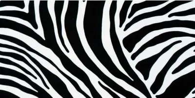 Image de Decoralia Adhésif Zèbre_45cmx2m - Decoralia