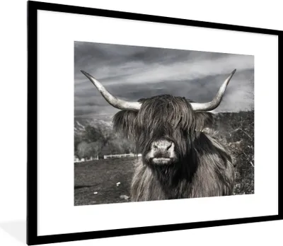 Produktbild von MuchoWow® Gerahmtes Poster Schottischer Highlander - Tiere - Hörner 80x60 cm - Poster mit Schwarzem Bilderrahmen Wandposter Rahmen Foto Bilder - Schlafzimmer-Dekorationen - Fotoposter