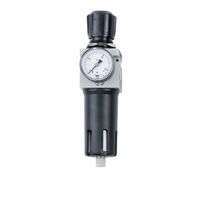 Zdjęcie produktu dla Reduktor ciśnienia filtra Schneider R 1/4