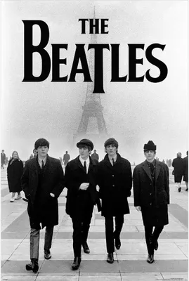 Immagine prodotto di The Beatles - Poster, Torre Eiffel, Carta PM6398 (91,5 cm x 61 cm) (Nero/Grigio)