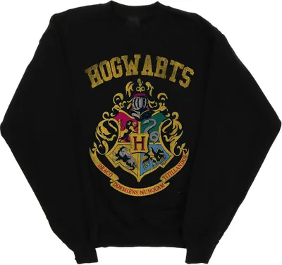 Zdjęcie produktu dla Bluza męska „Harry Potter – Hogwart” BI28387 (XXL) (czarna)