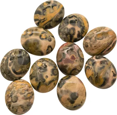 10 Hochwertige Leopardskin Rhyolith Cabochons, 12 x 10 mm