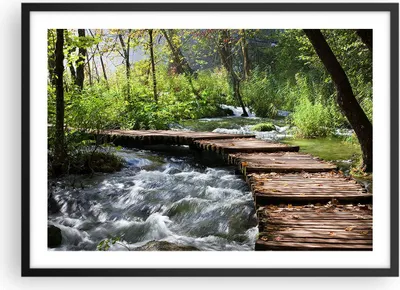 Produktbild von Gerahmtes Poster - Schwarzer Rahmen - Park natur grün bäume - 70x50 cm - Wand Bild - Wanddeko - Wandbilder - Kunstposter - Wandposter - Bilderrahmen - Bilder - Kunstdruck - Wandbild - P2BAA70x50-0356