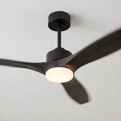 Image de Forlight - Ventilateur de plafond Stem Evo, diamètre 1320 mm, moteur DC silencieux, 30W + 20W LED, LED intégrées, température de couleur réglable (CCT) : 3000K - 4000K - 5000K, variateur intégré, couleur noire, pales noires