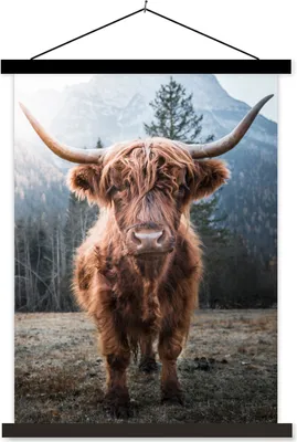 Produktbild von MuchoWow® Textilposter Schottisches Hochlandrind - Tiere - Porträt 60x80 cm mit schwarzem Rahmen - Plakathalter