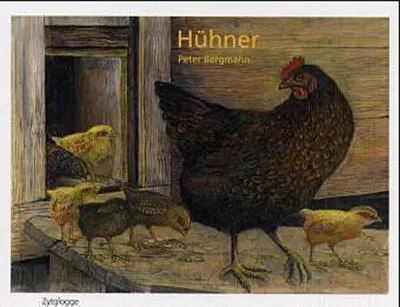 Produktbild von Hühner