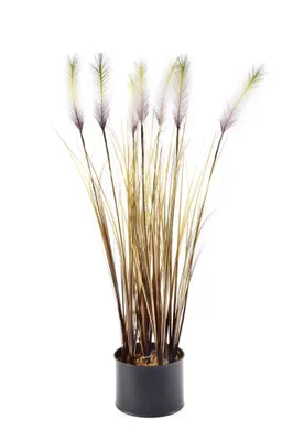 Produktbild von Künstliche Blume 12.5Xh65Cm
