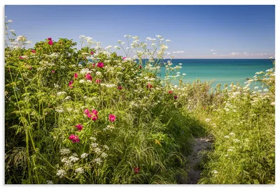 Produktbild von ARTland Wandbild Alu für Innen & Outdoor Frühling an der Küste in Ahrenshoop Größe: 30x20 cm