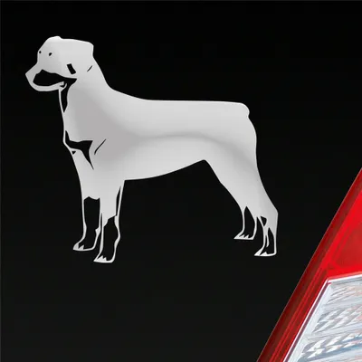Produktbild von Auto Aufkleber Rottweiler Tier Hund Dog Animal 11x10 cm Silber Sticker Heckscheibenaufkleber