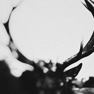 Image de Ihsahn : Ihsahn (version orchestrale) (édition limitée)