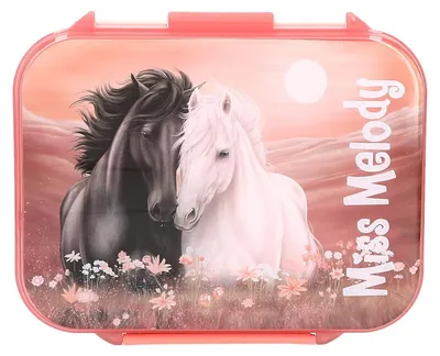 Produktbild von Miss Melody 0414132, Brotdose, Kind, Rose, Polypropylen (PP), Abbildung, Rechteckig