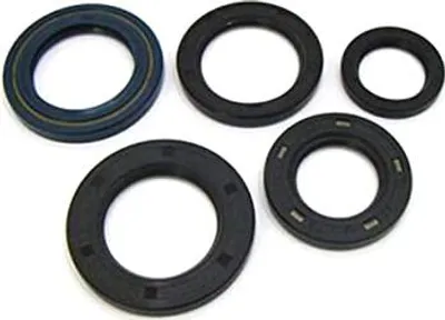 Obrázek produktu pro Sada motorových těsnění WINDEROSA W822178