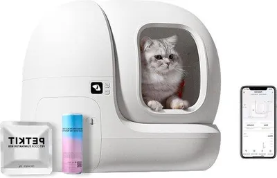 Produktbild von Autofreundlicher Kattenaufwischkorb für mehrere Katzen, Selbstreinigend, Geruchsentferner, Größe N50