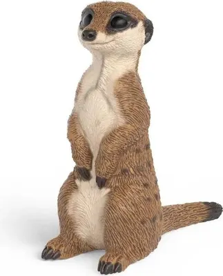 Immagine prodotto di Schleich GmbH Meerkat Altro