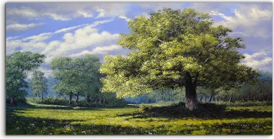 Produktbild von Coloray Glasbild 140x70  Wandbild Glasbilder groß Gemälde Landschaft Bäume Kunst