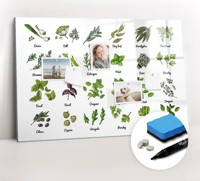 Produktbild von Magnetpinnwand Memoboard - Zubehörsatz - Schwarzer Marker + Schwamm + Magnete - 90 x 60 cm - Arten von Bäumen