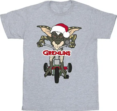 Produktbild von Gremlins - T-Shirt für Herren BI28771 (XXL) (Grau)