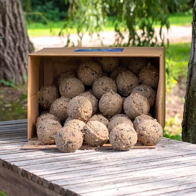 Produktbild von Meisenknödel mit Insekten, 50 Stück im Karton