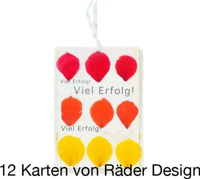 Produktbild von Flowerbagkarte "Viel Erfolg!" 12er Set