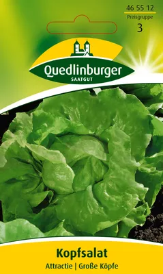 Produktbild von Kopfsalat Attractie | Kopfsalatsamen von Quedlinburger