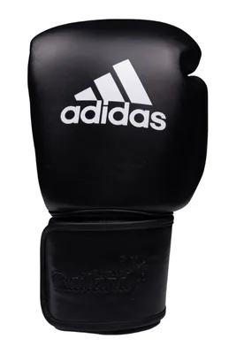 Image de Gants de boxe Adidas Adidas Pro 300