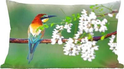 Produktbild von MuchoWow® Zierkissen Sofakissen Wohnzimmer Dekokissen 60x40 cm Vogel - Bienenfresser - Blumen - Kopfkissen - Polster mit Foto