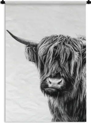 Produktbild von MuchoWow® Wandteppich Wandbehang Ein schottischer Hochlandrind auf weißem Hintergrund - schwarz und weiß 120x180 cm Tapisserie Dekoration Wandtuch - Schlafzimmer - Dekorationen für das Haus
