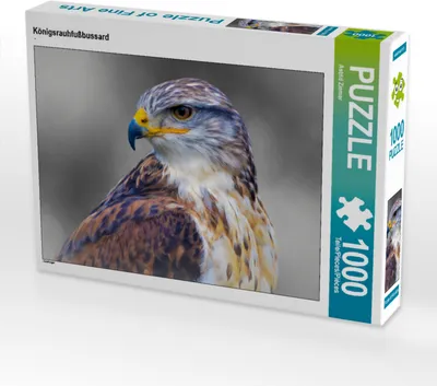 Produktbild von CALVENDO Puzzle Königsrauhfußbussard | 1000 Teile Lege-Größe 64x48cm Foto-Puzzle für glückliche Stunden