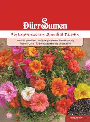 Produktbild von Portulakröschen Sundial F1 Mix | Portulakröschensamen von Dürr Samen