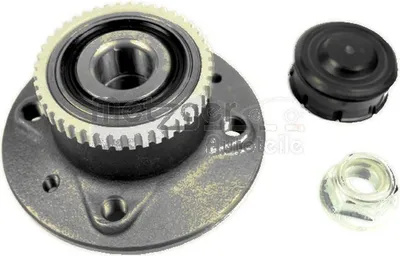 Produktbild von METZGER Radlagersatz Hinten für RENAULT KANGOO (KC0/1) WM 3677