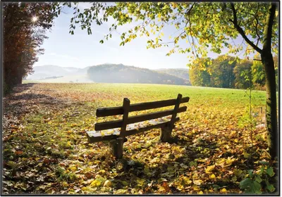 Produktbild von Wallario Wandbild Idyllische Holzbank in den Bergen, Größe: 70,30 x 100,30 cm, Poster mit schwarzem Aluminiumrahmen