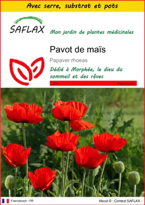 Image de SAFLAX Ensemble de culture - Pavot de maïs - 27000 graines - Papaver