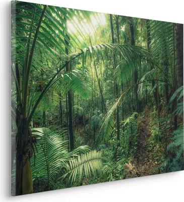 Produktbild von Keilrahmenbild - Jungleflair - Größe 90 x 60 cm