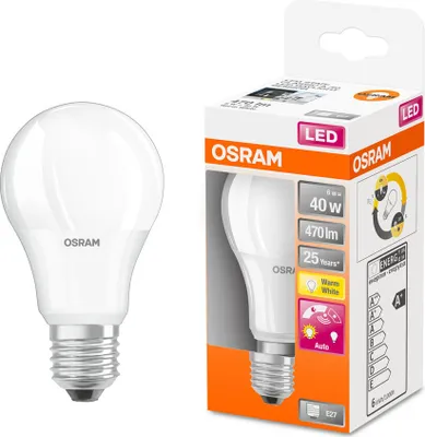 A product shot of an LED light bulb next to its packaging.