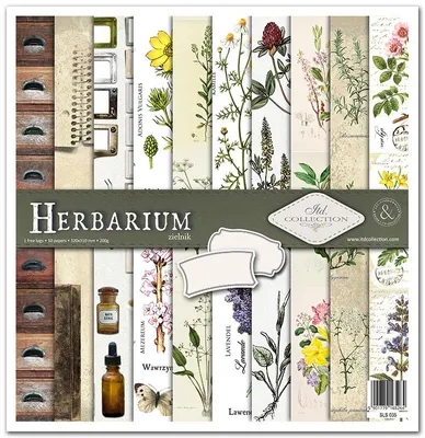 Produktbild von Scrapbooking-Papier Set 30×30 cm – SLS-035 Herbarium – ITD Collection