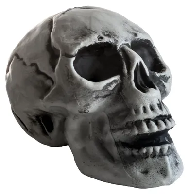 Produktbild von Preiswerter Totenschädel 24cm als Halloween Deko