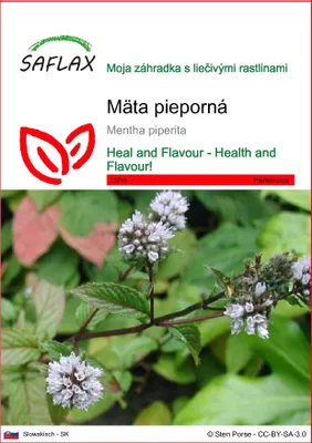 Obrázok produktu pre SAFLAX - mäta pieporná - Mentha piperita - 300 Semená
