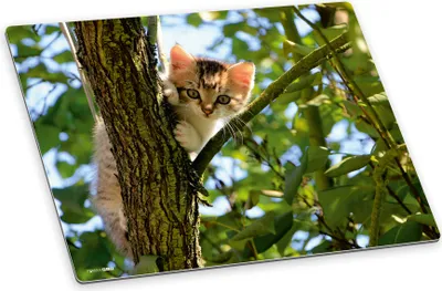 Produktbild von itenga Deluxe Schreibtischunterlage KATZE 50x40cm rutschfest